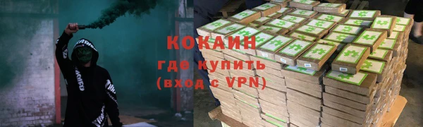 стафф Зерноград
