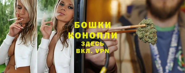 стафф Зерноград