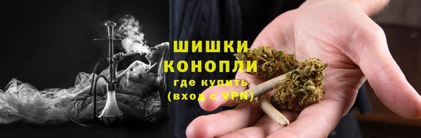 ПСИЛОЦИБИНОВЫЕ ГРИБЫ Зеленодольск