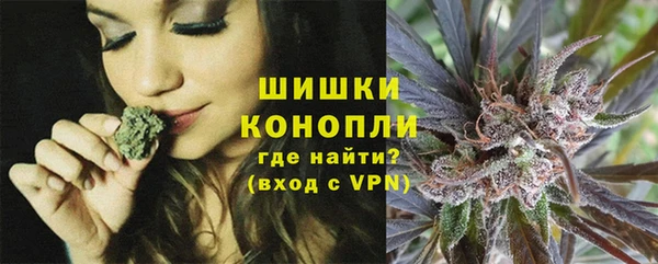 ПСИЛОЦИБИНОВЫЕ ГРИБЫ Зеленодольск