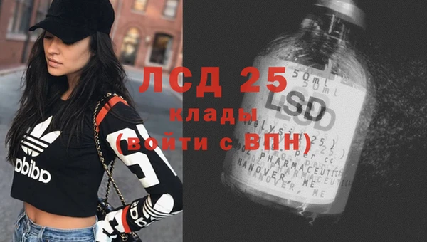 ПСИЛОЦИБИНОВЫЕ ГРИБЫ Зеленодольск