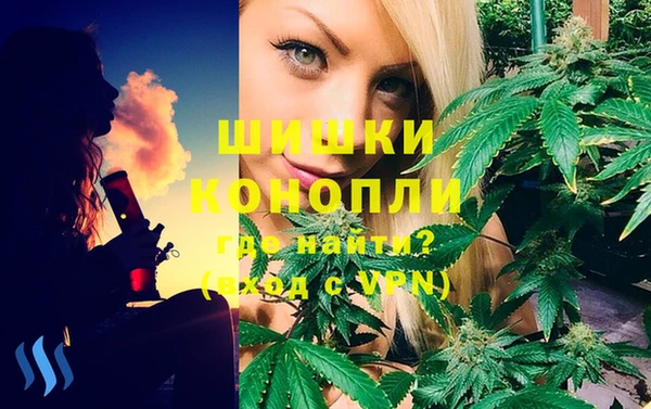 стафф Зерноград