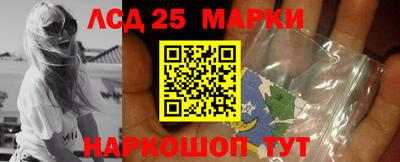 ешки Краснодар