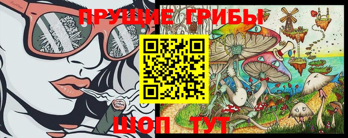 Галлюциногенные грибы Cubensis Мыски