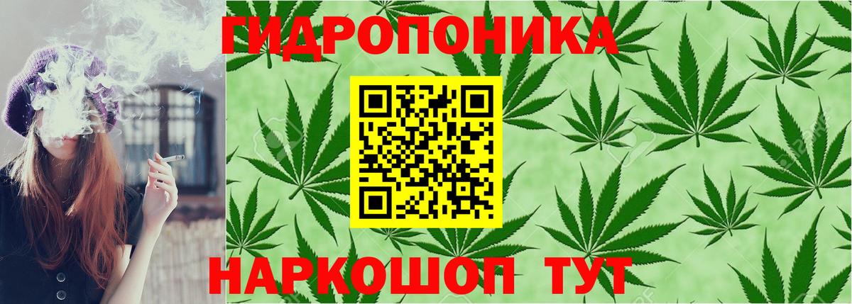 МАРИХУАНА индика  Конопля AK-47  Мыски  Вход с VPN 